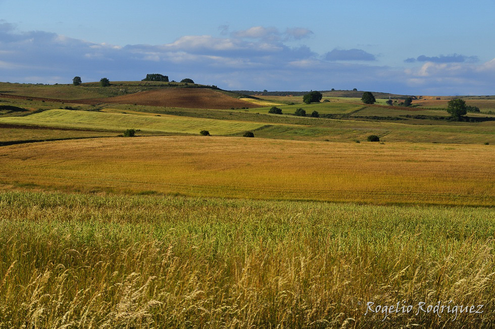 Imagen 3 de la galería de La Meseta